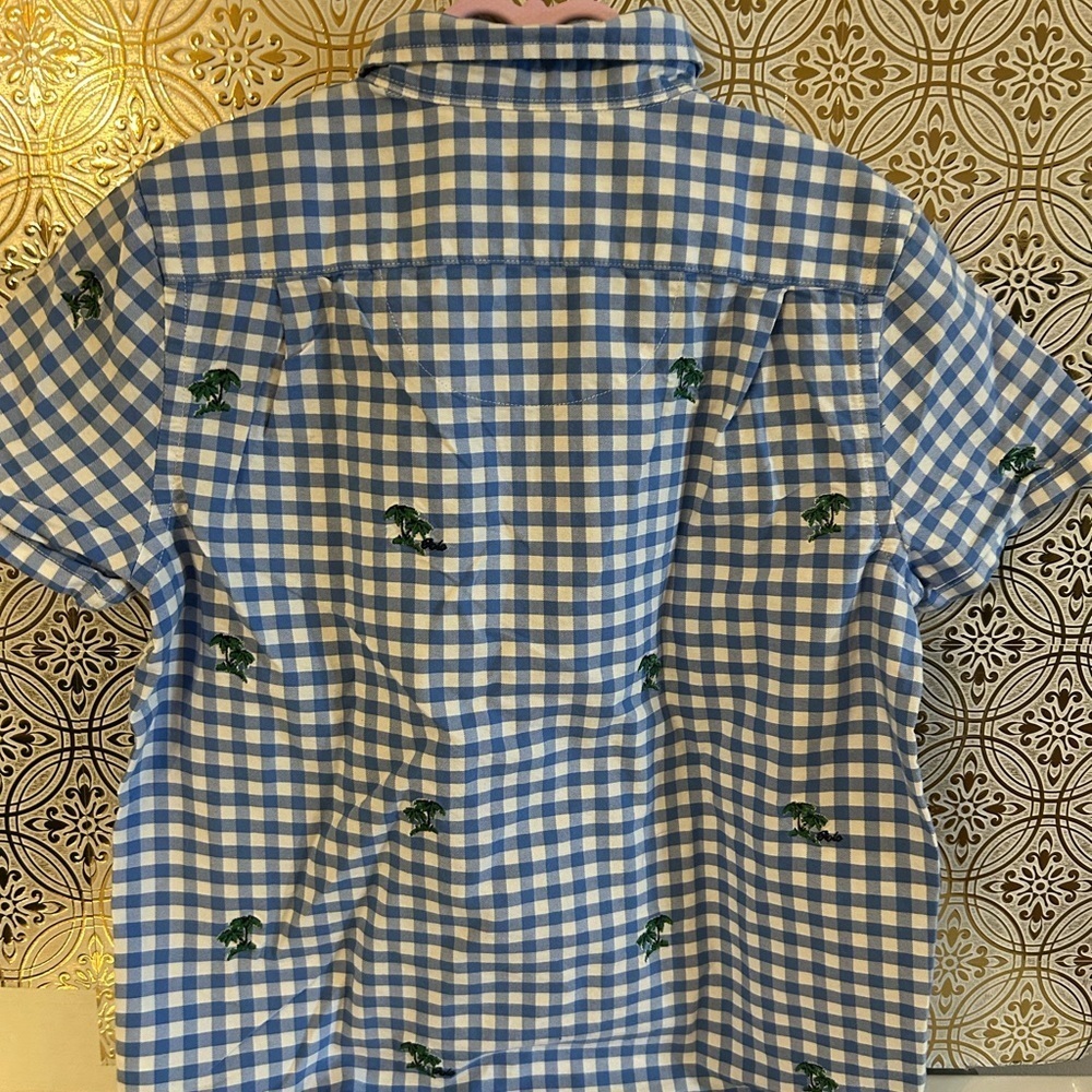 Polo by Ralph Lauren Blue and Green Casual Button Down Shirt Size 14-16 - Picture 6 of 13